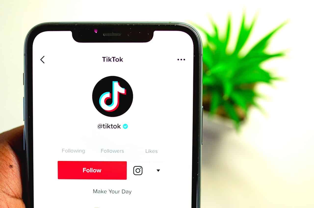 Rotten Tomatoes And Tiktok Partnership Lets Users Link To Ratings And Reviews