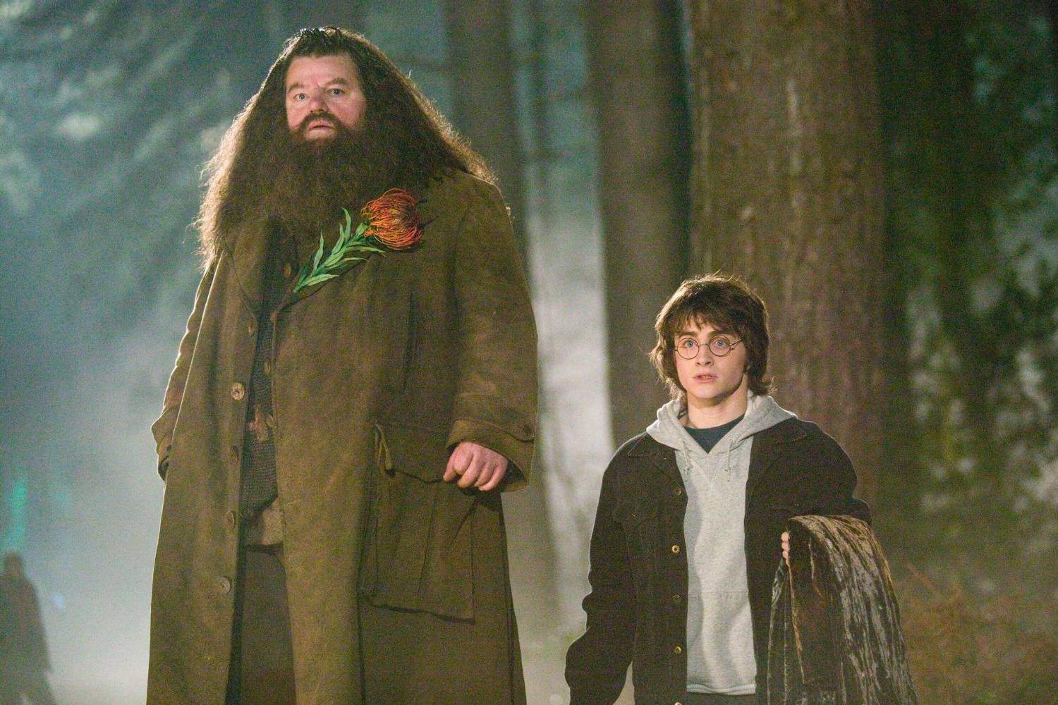 Hagrid From Harry Potter Has Died