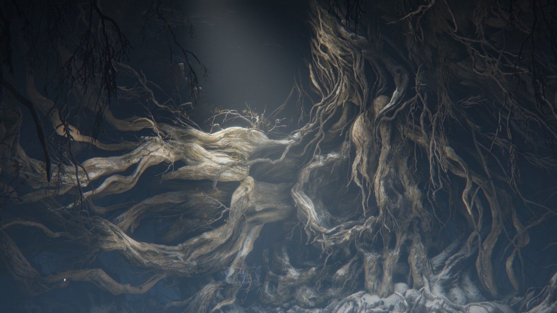 FromSoftware has made it clear before that it prefers to make new games instead of sequels but the success of Elden Ring could make it an exception like Dark Souls before it.