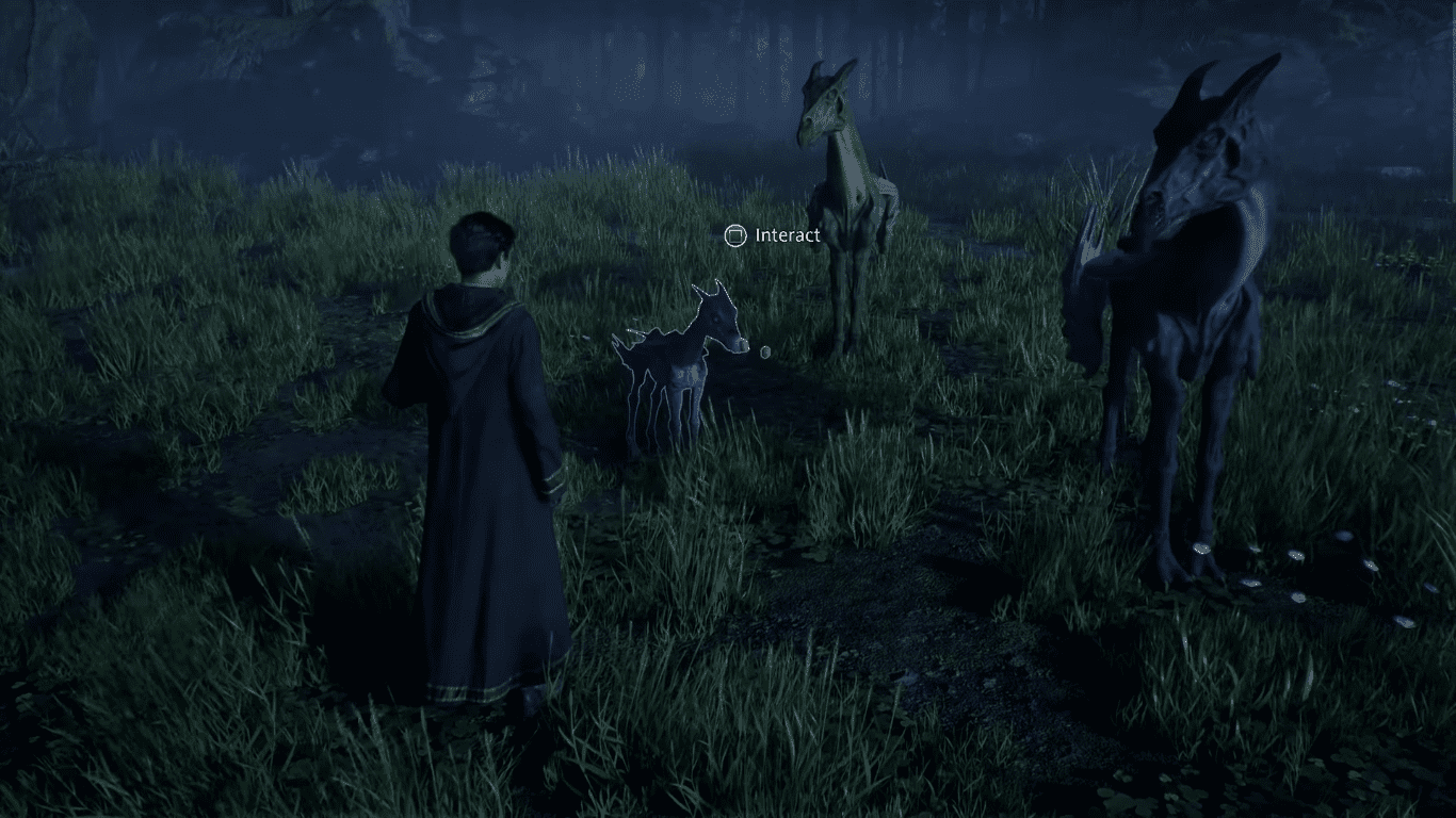 Thestrals are mistakenly known as omens of misfortune and aggression by many wizards.