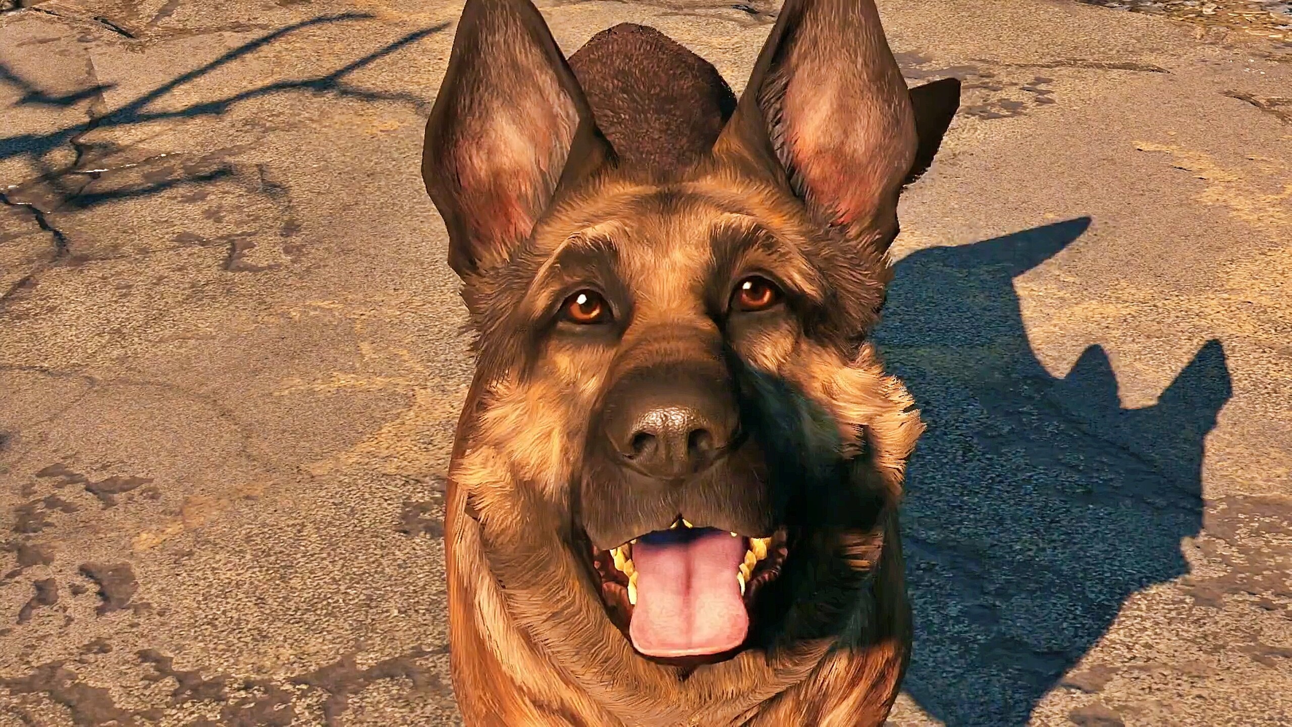 It doesn't matter where Fallout 5 will be available, as long as it has a pet companion, we're good.