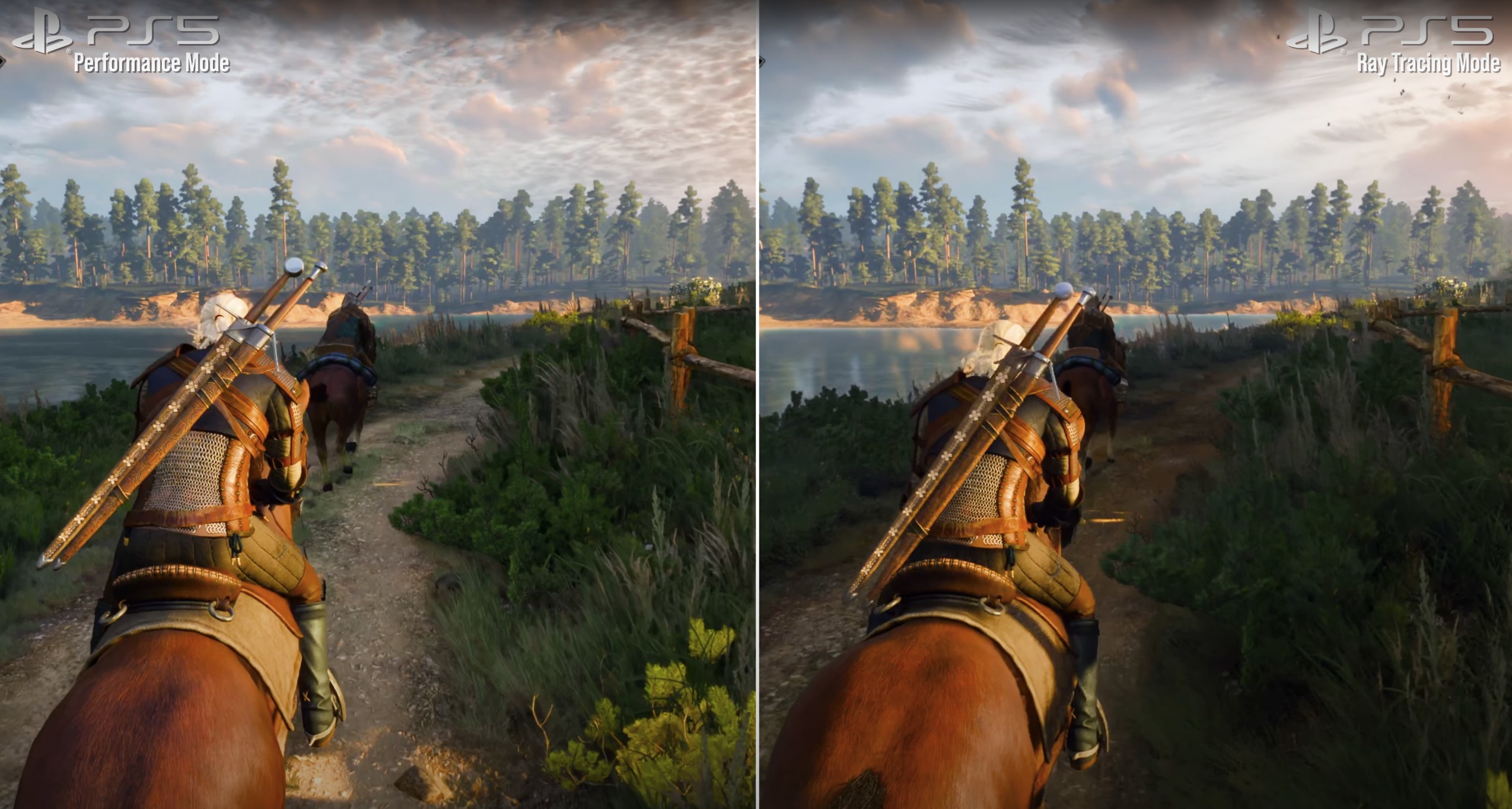 The Witcher Comparison