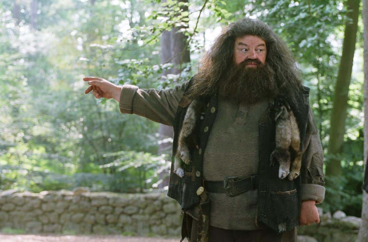 hagrid-from-harry-potter-has-died-1.jpg