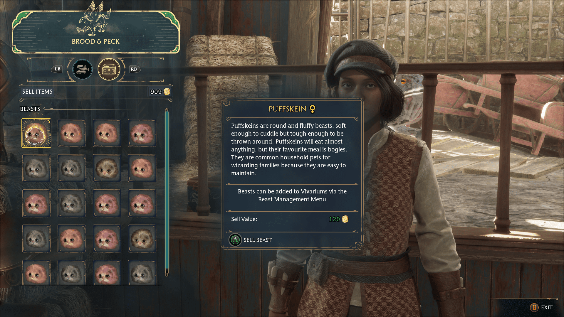 How To Farm Money In Hogwarts Legacy