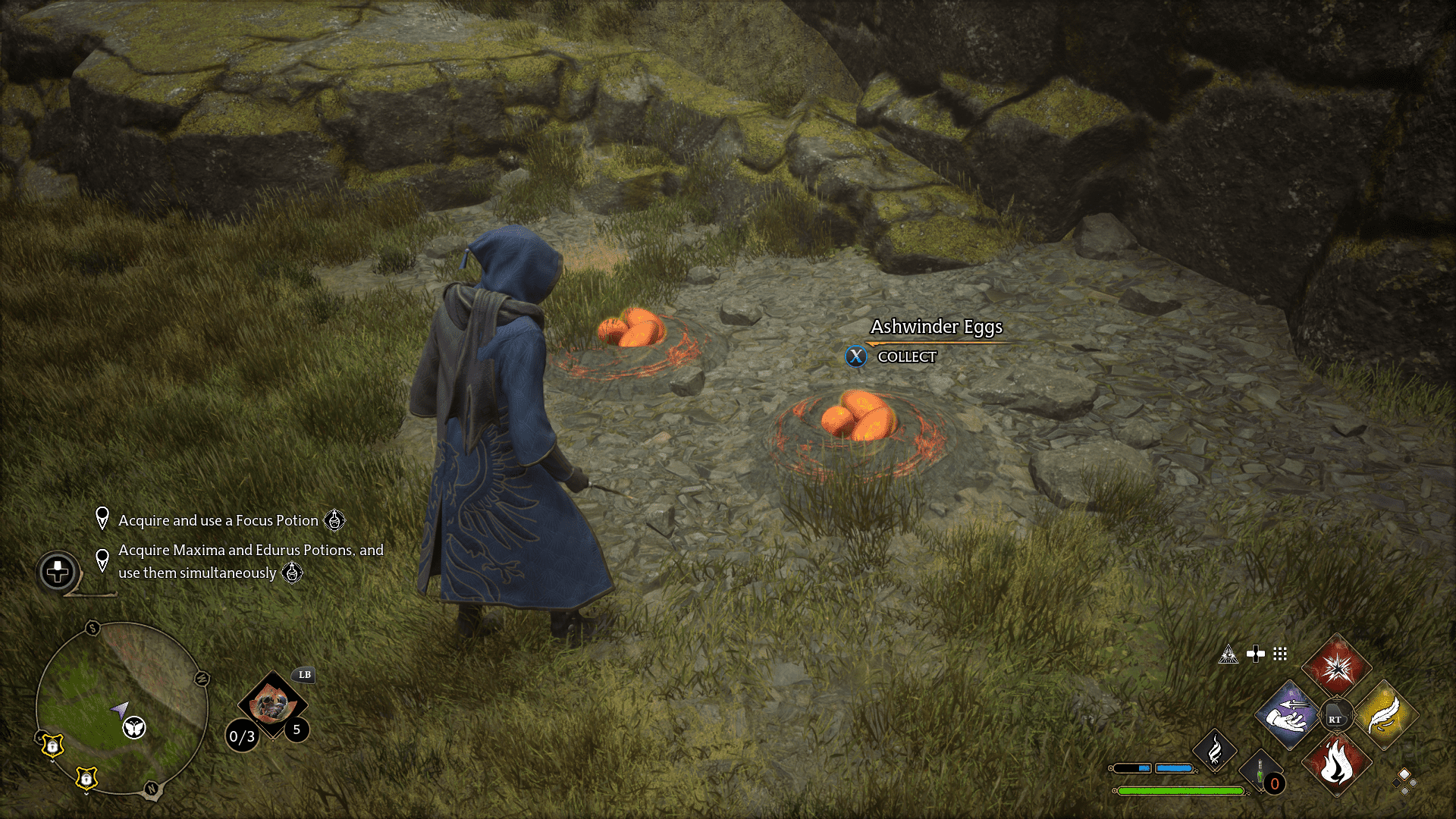 Focus Potion Guide Hl