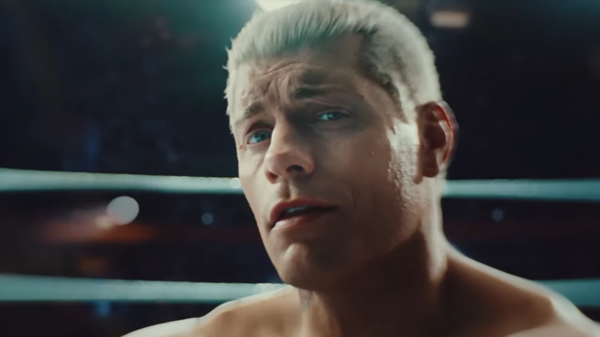Cody Rhodes has done everything that the WWE has asked for him and then some.