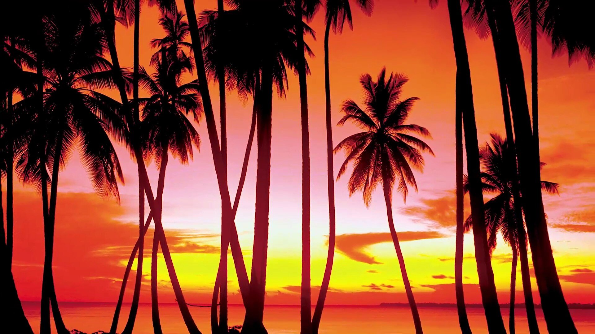 If the teaser doesn't convince you that the next GTA game will be set in Vice City, we don't know what will.