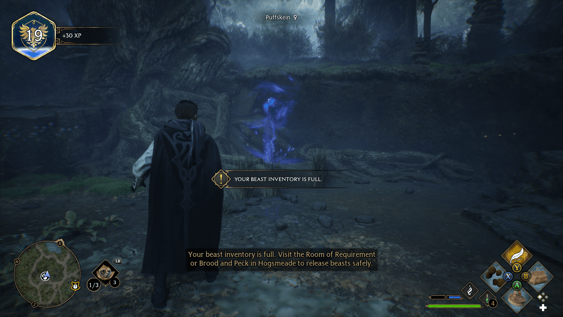 How To Farm Money In Hogwarts Legacy