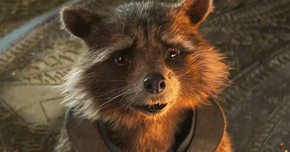James Gunn reacts to fans hoping for Rocket's death