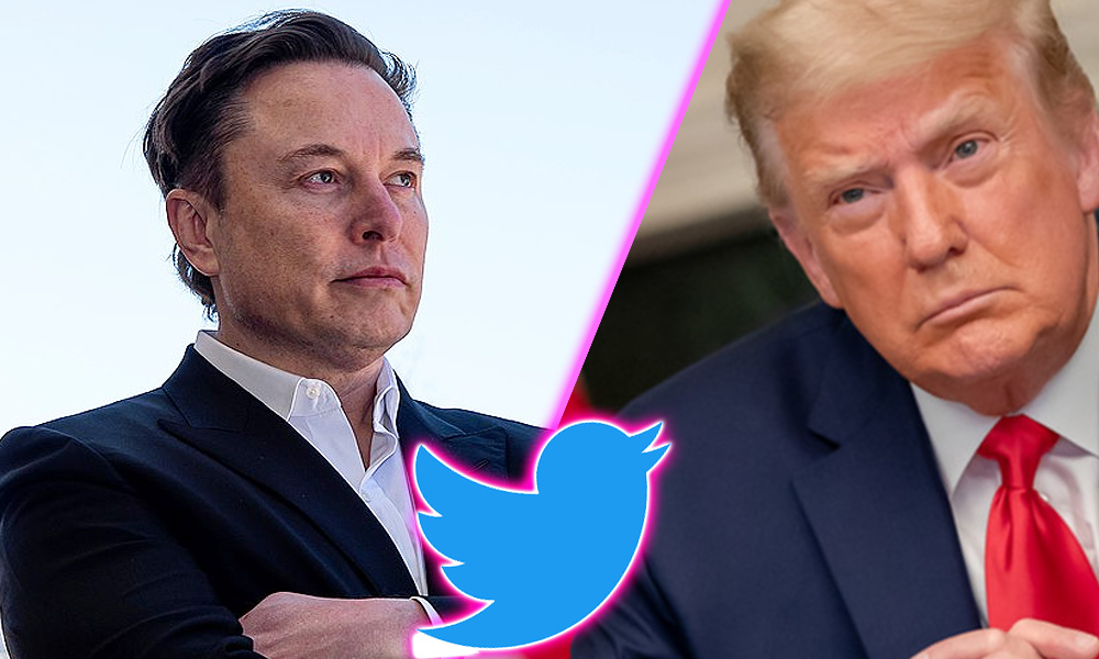 Elon Musk reinstates Trump on Twitter