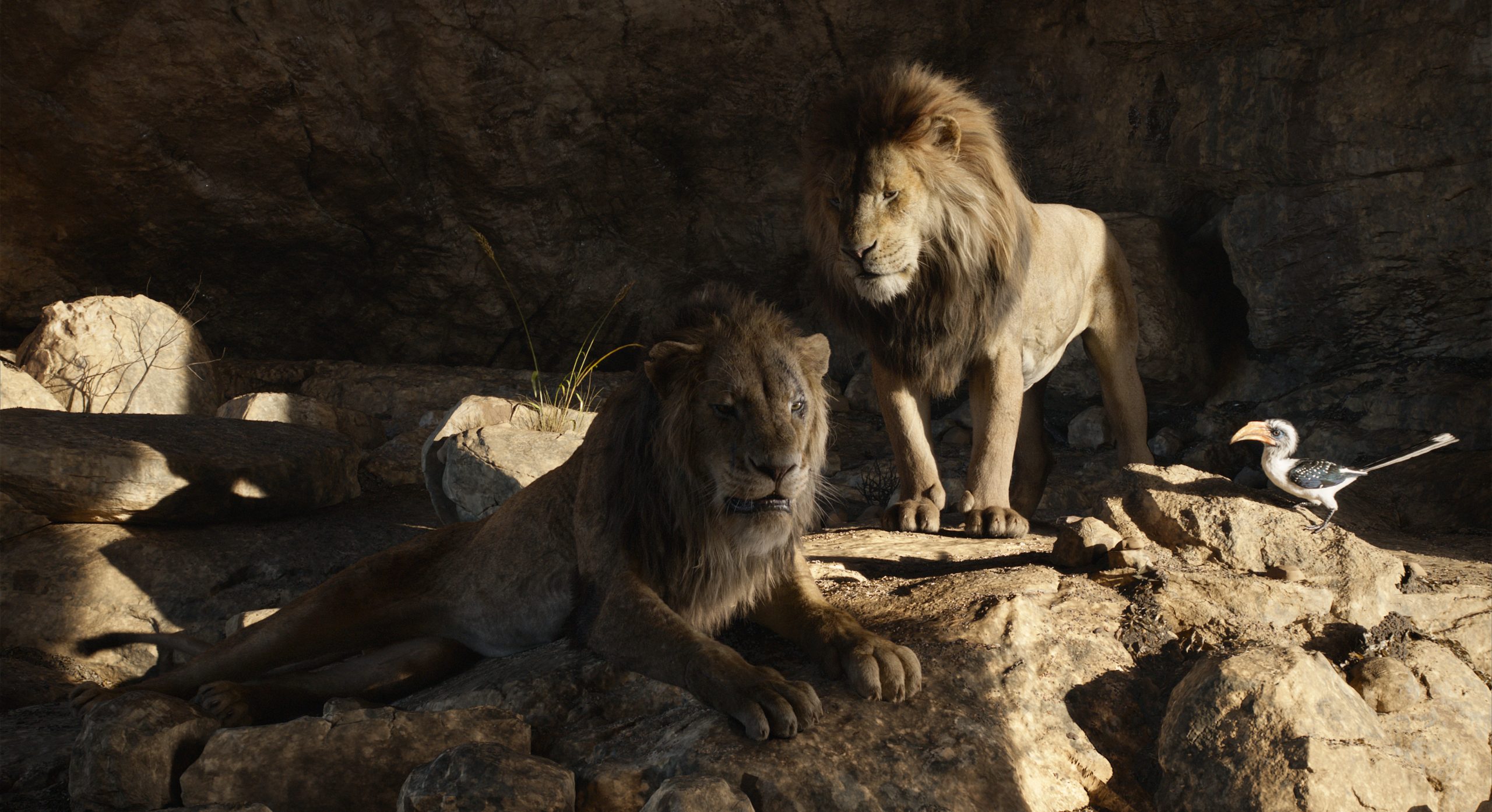 Holiday 2024 set for a blockbuster roar with Lion King prequel