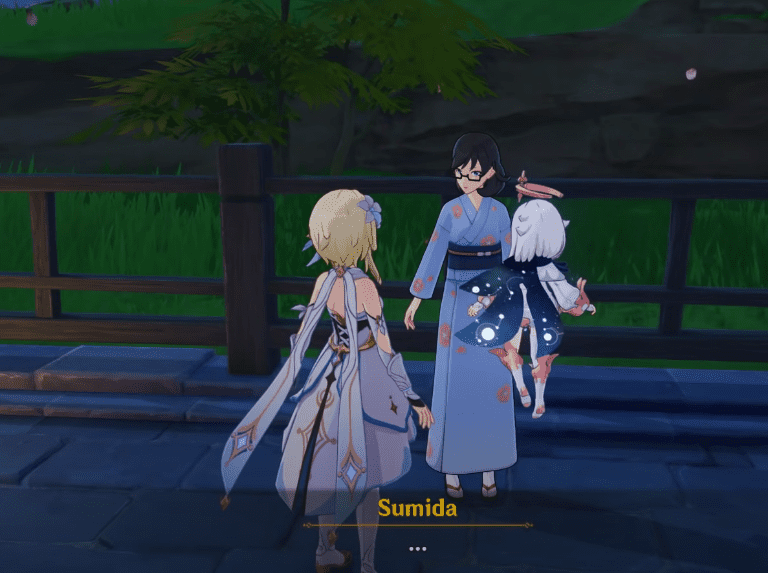 A Particularly Particular Author Guide: Genshin Impact