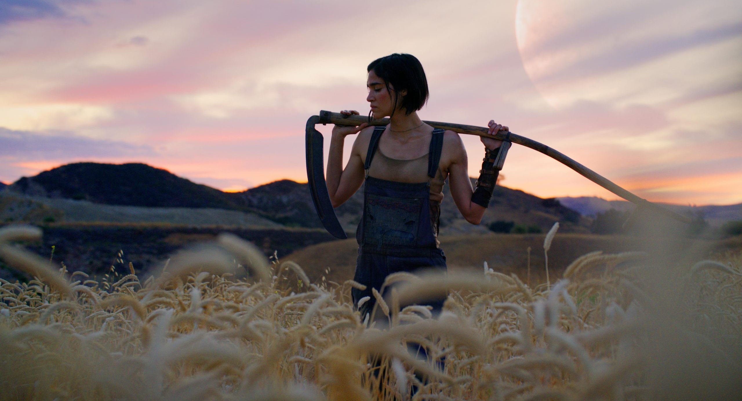 Netflix is being sued by Evil Genius Games over canceled Rebel Moon TTRPG