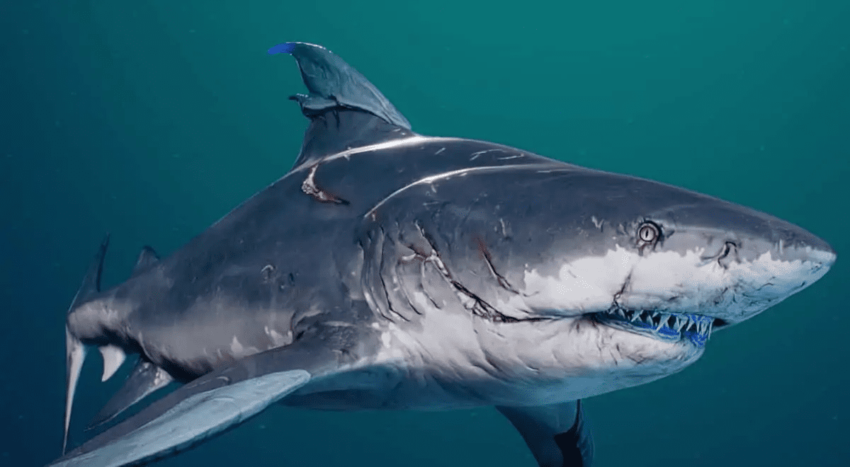 The 10 Weirdest Video Games You Can Play Today