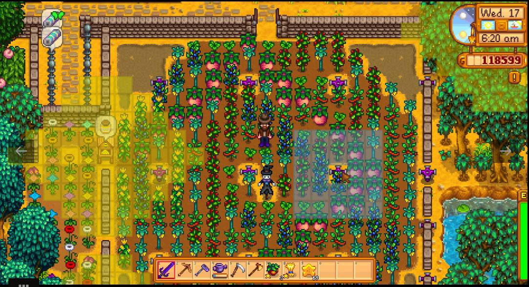 Top 15 Stardew Valley Mods For Quality Of Life