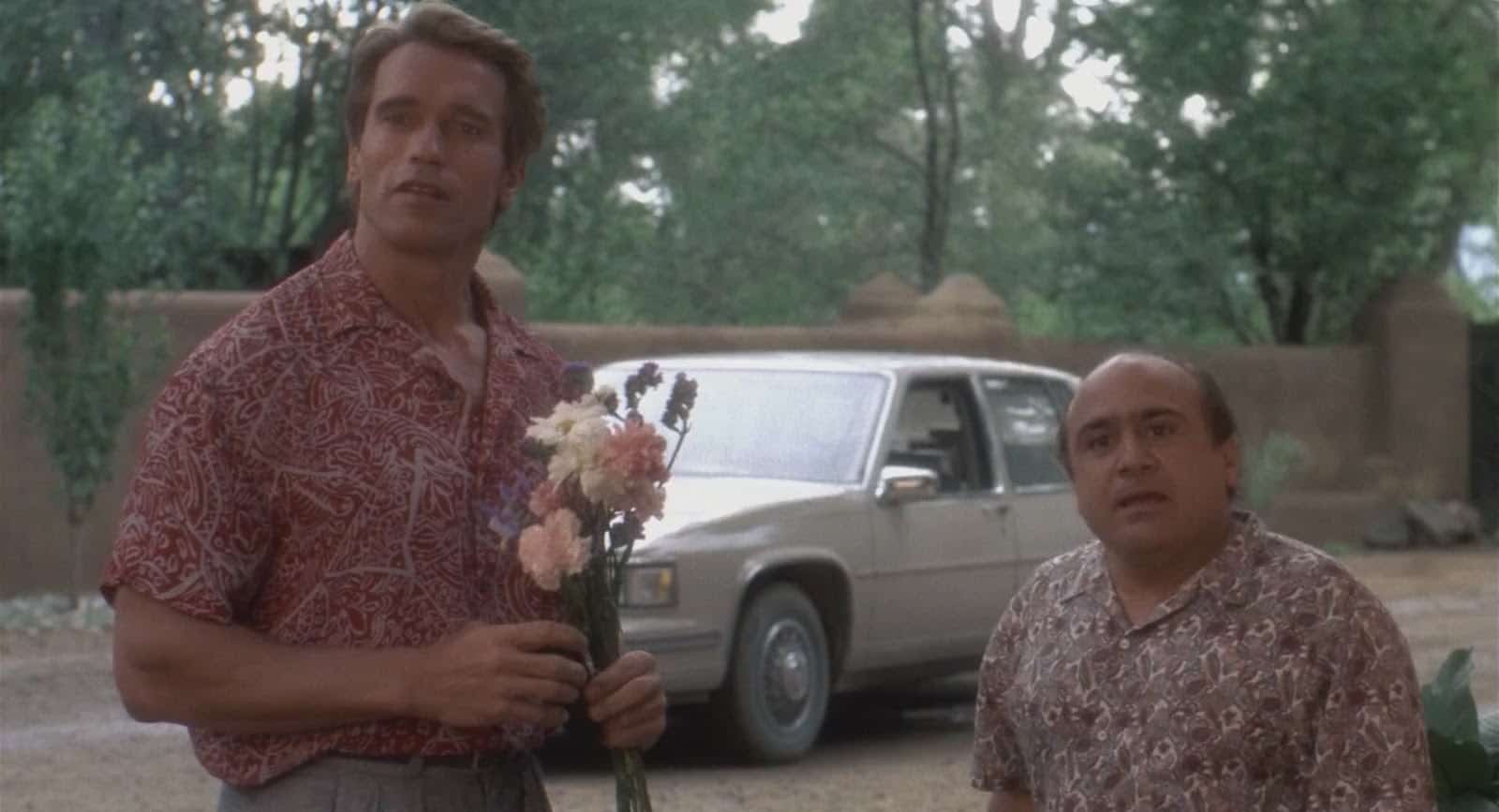 Three Decades Later, The Twins Sequel Is Finally Happening