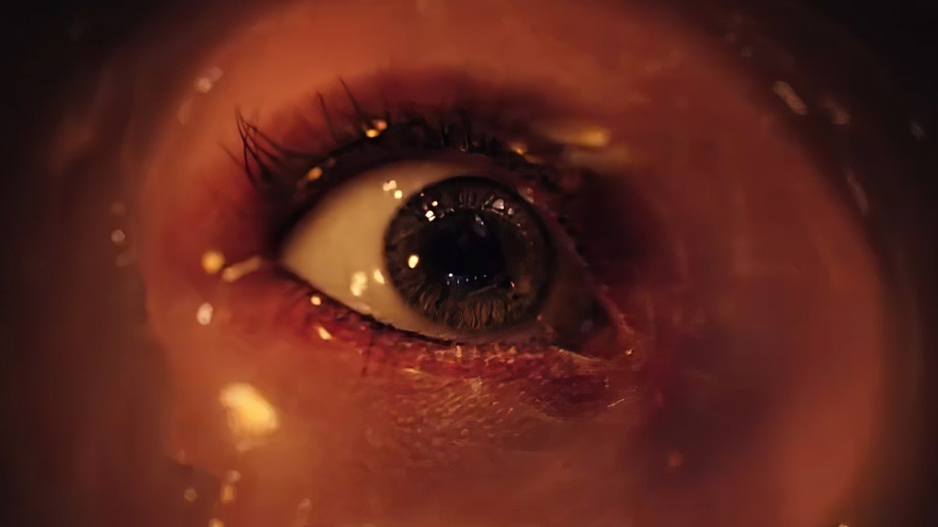 Doctor Strange in the Multiverse of Madness made nearly a billion at the global box office.