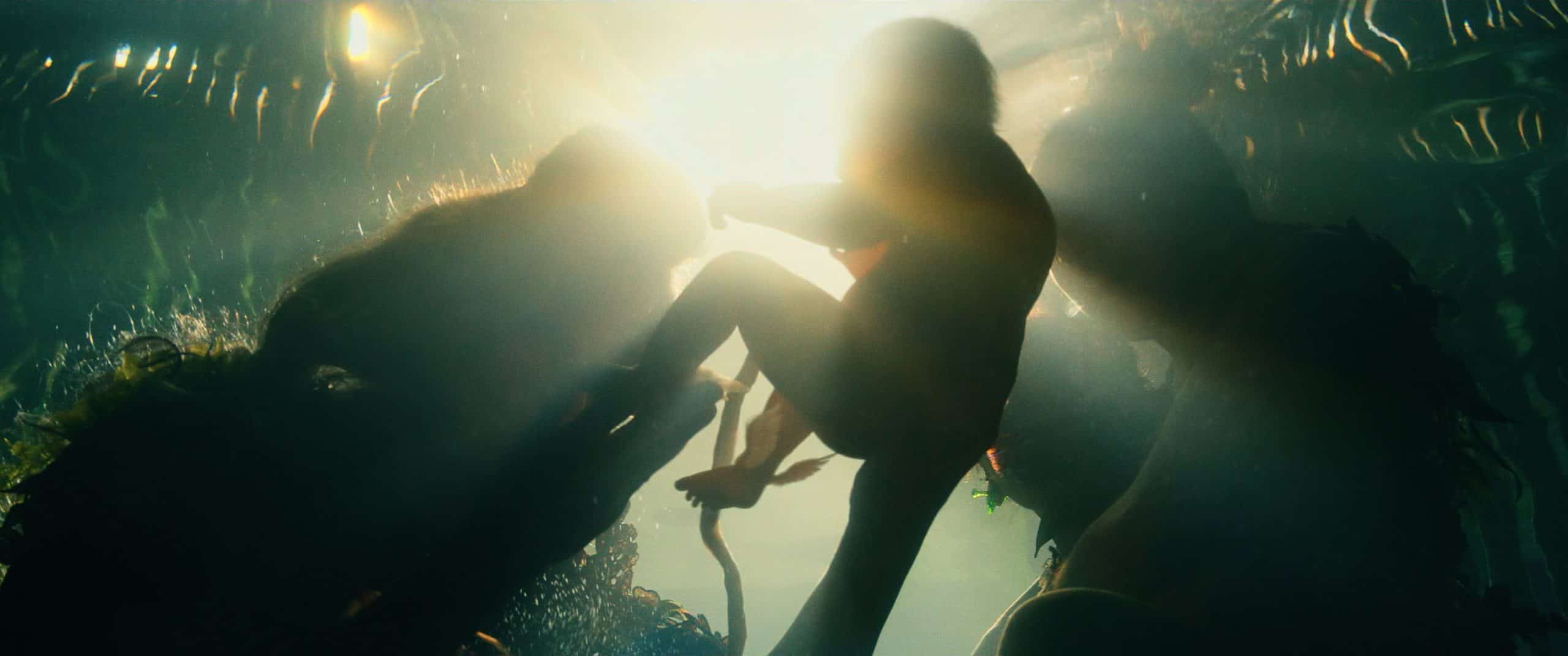 Namor will be in Avengers: The Kang Dynasty