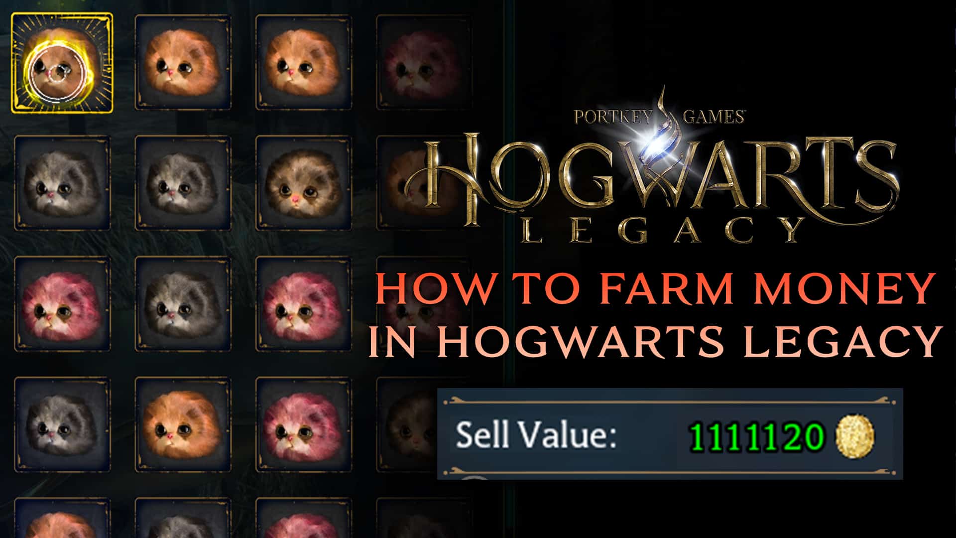 How to farm money in Hogwarts Legacy (best methods)