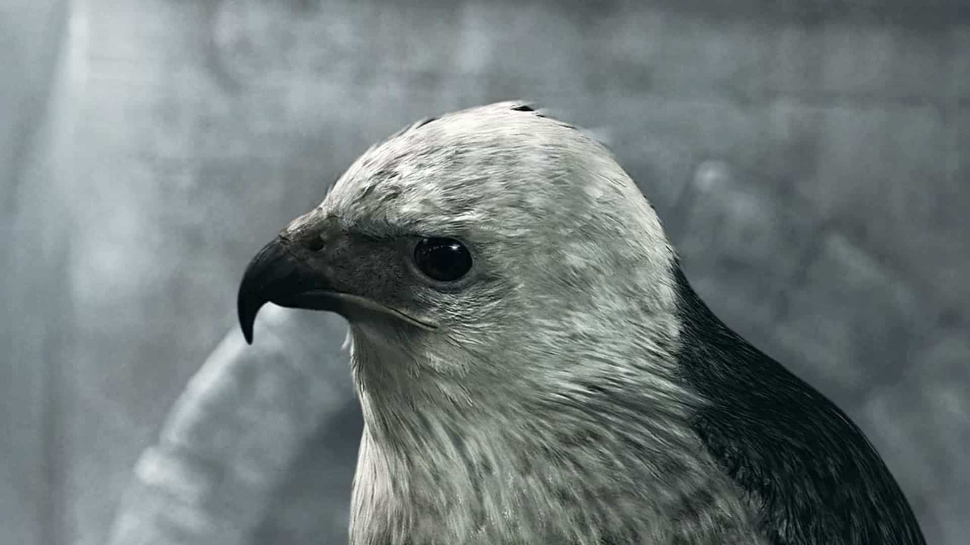 Ubisoft Confirms Setting And Hero For Assassin's Creed Mirage