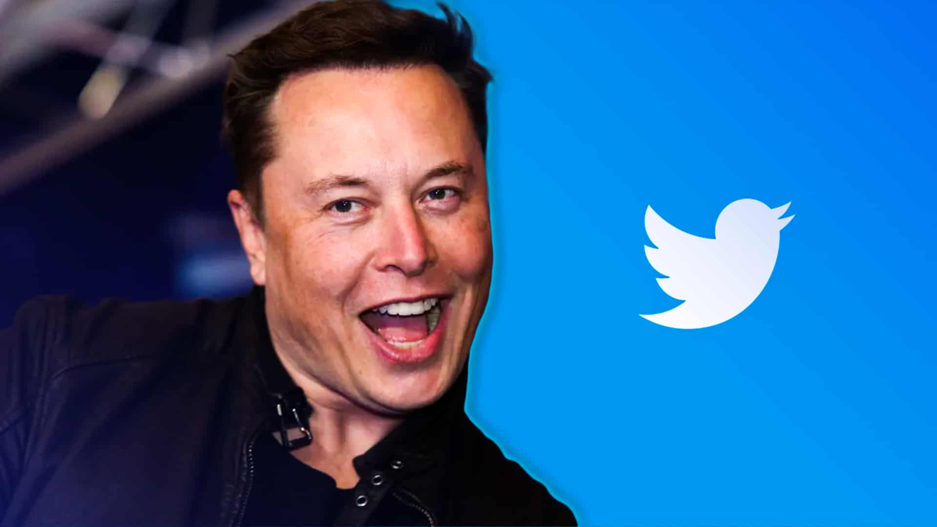 Elon Musk hires PlayStation 3 hacker to help fix Twitter’s search function