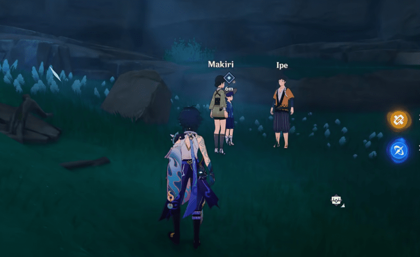 A Particularly Particular Author Guide: Genshin Impact