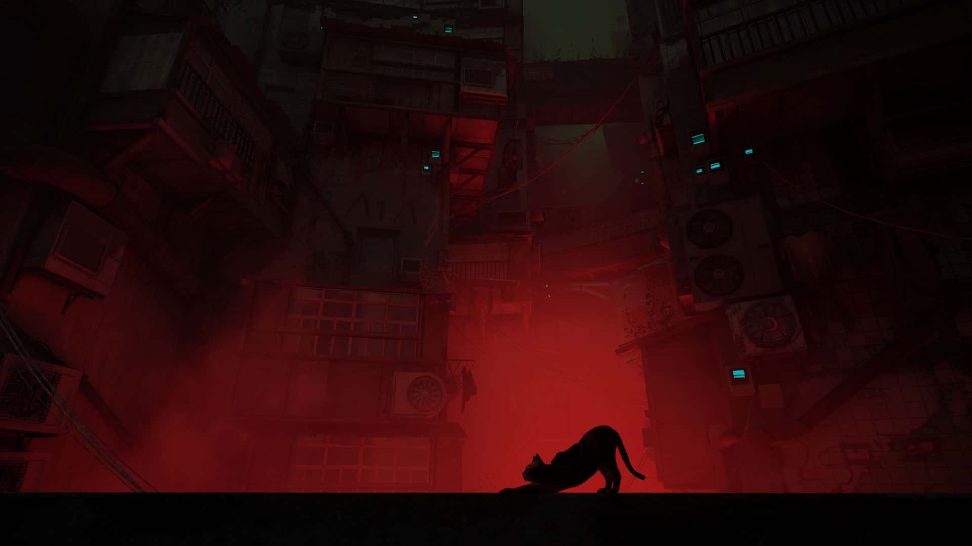 stray-finally-coming-xbox-platforms-2-800x450.jpg