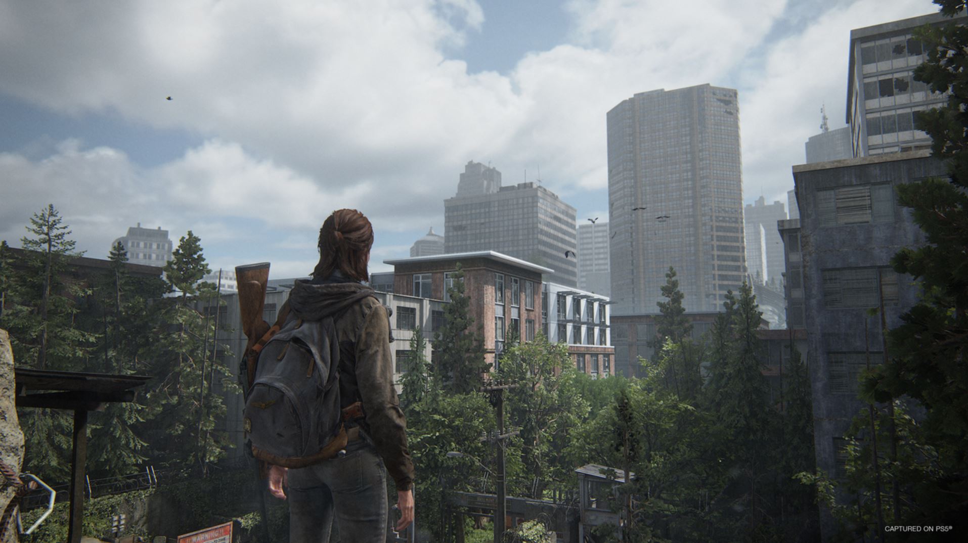 The Last of Us 2 Remastered will have a large roguelike mode