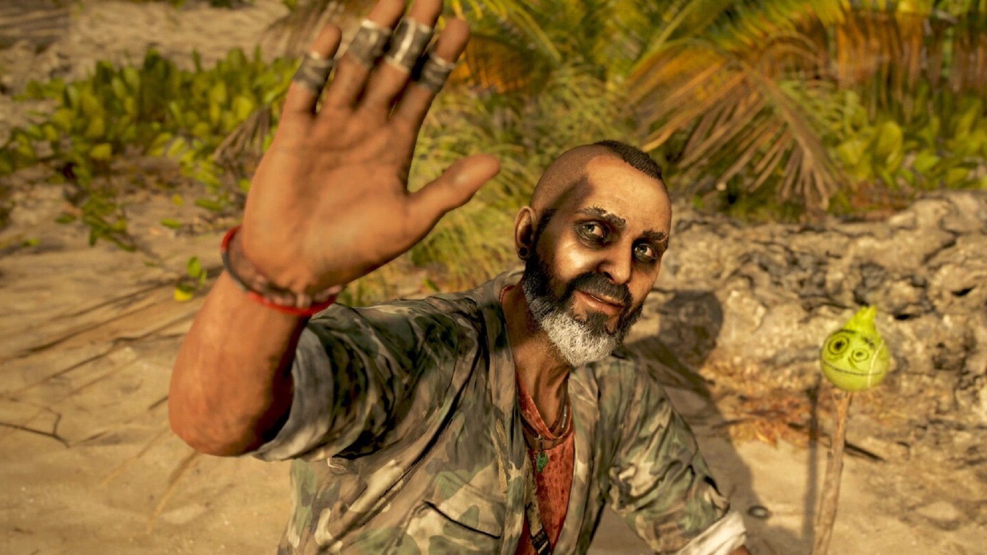 next-far-cry-game-released-later-than-expected-2-800x450.jpg