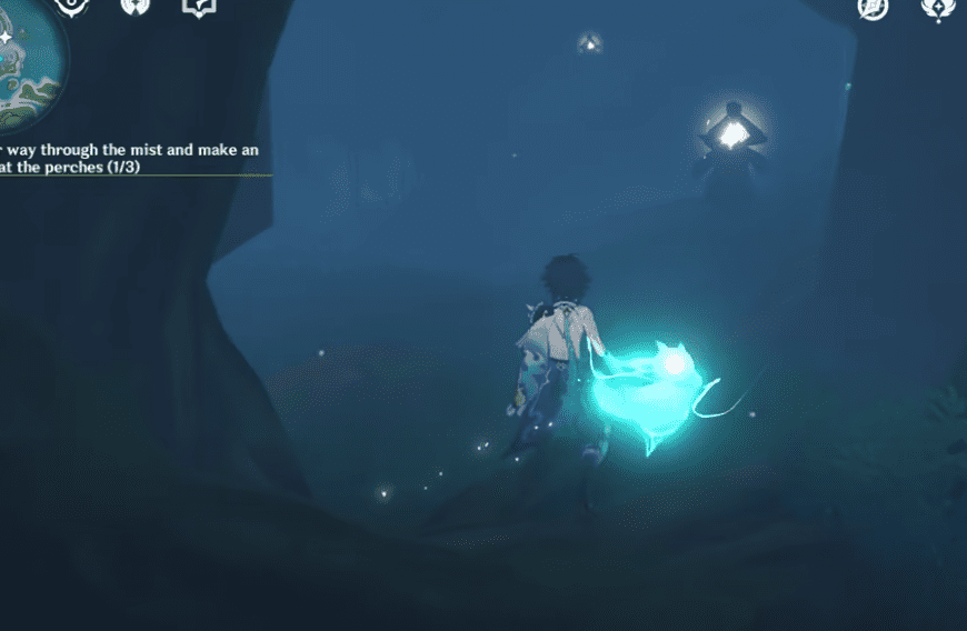 A Particularly Particular Author Guide: Genshin Impact