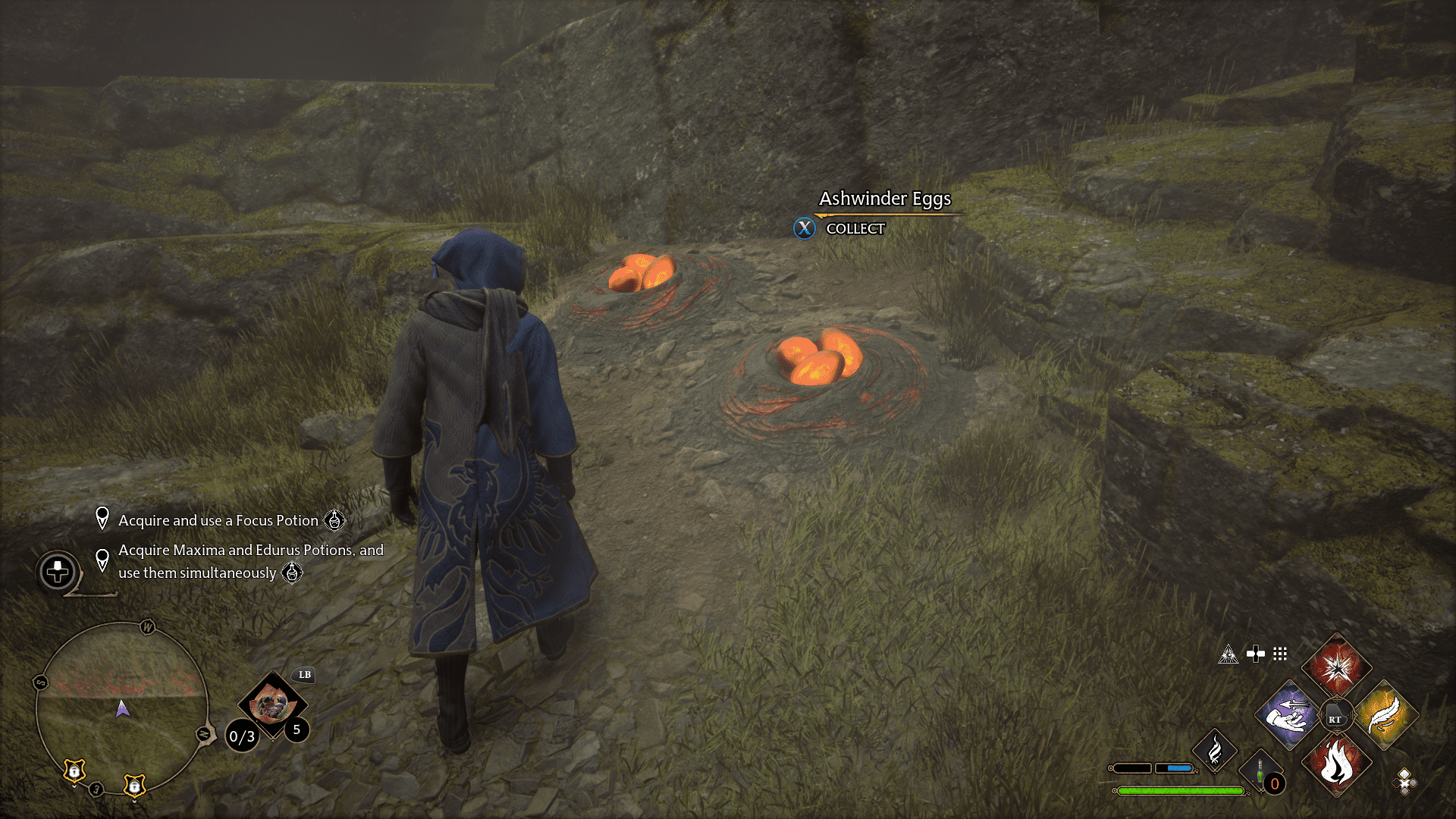 Focus Potion Guide Hl