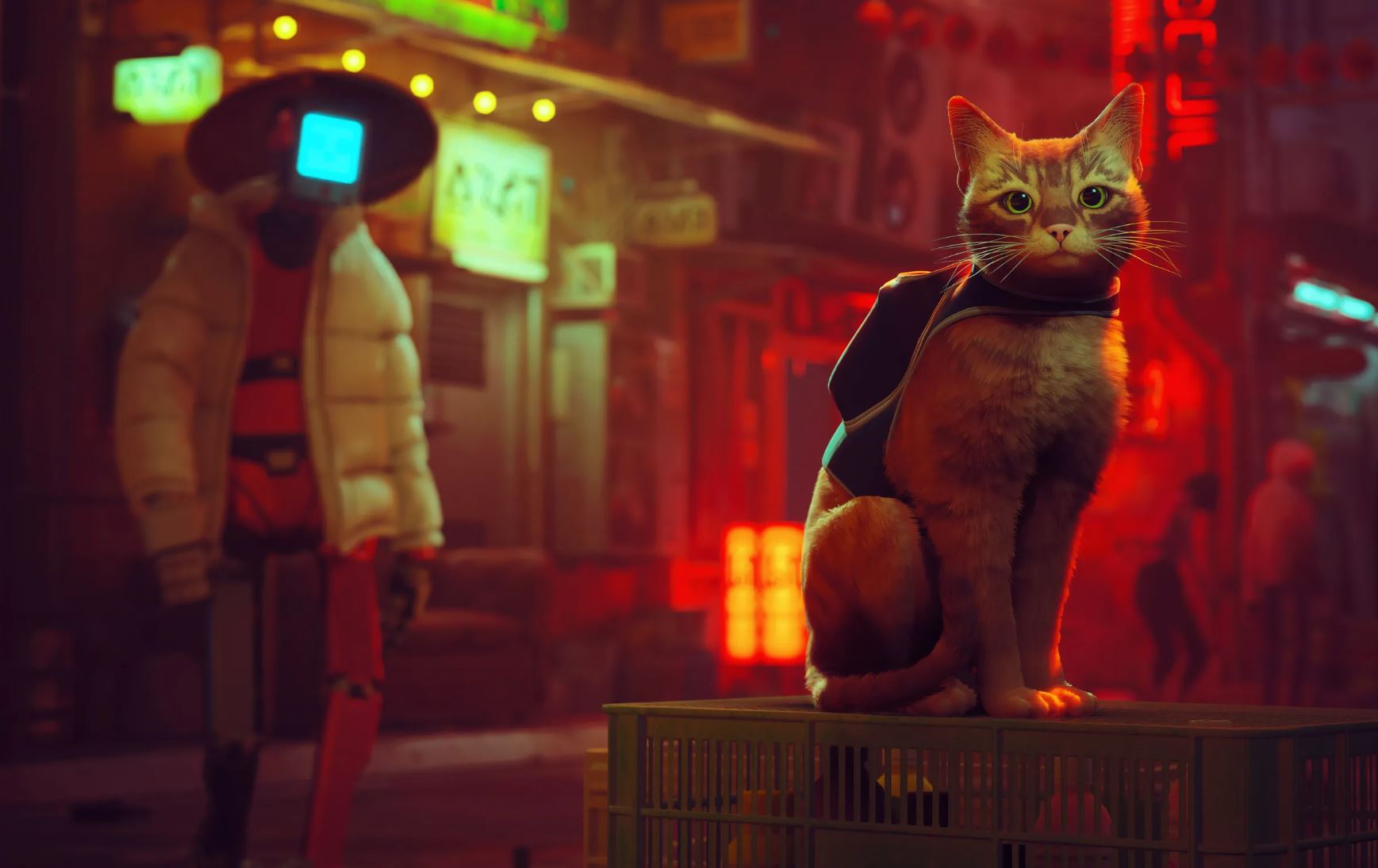 An animated film adaptation for Stray has been confirmed