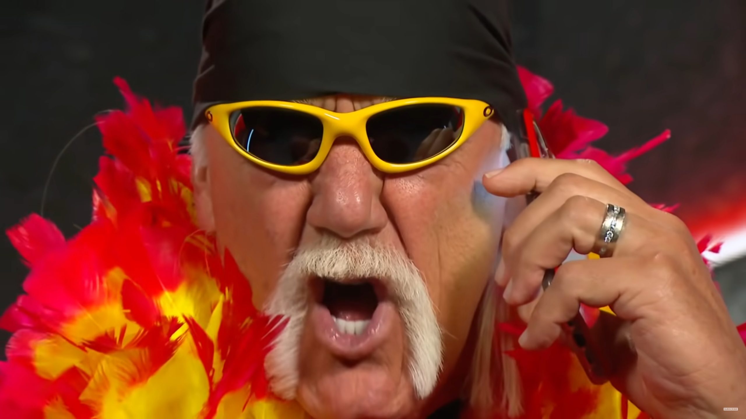 Hulk Hogan claims the WWE could have bought the UFC