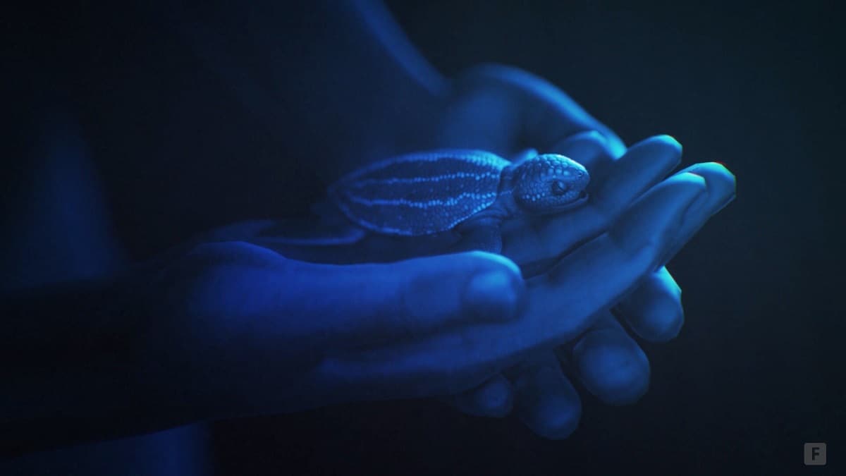 The 6 Best Games About Climate Change