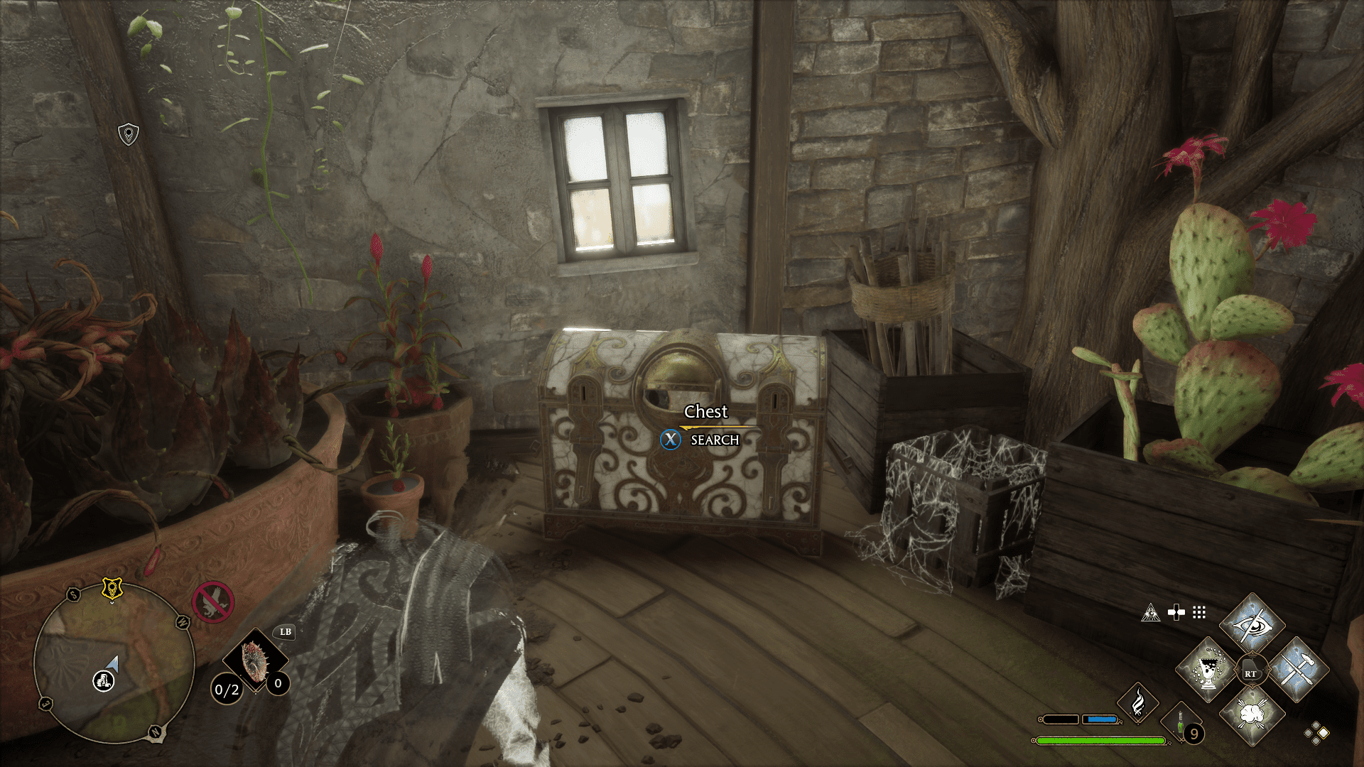 How To Farm Money In Hogwarts Legacy