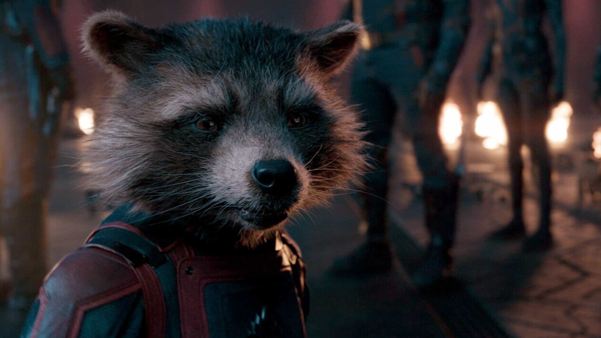focused on the story of Rocket for the third movie.