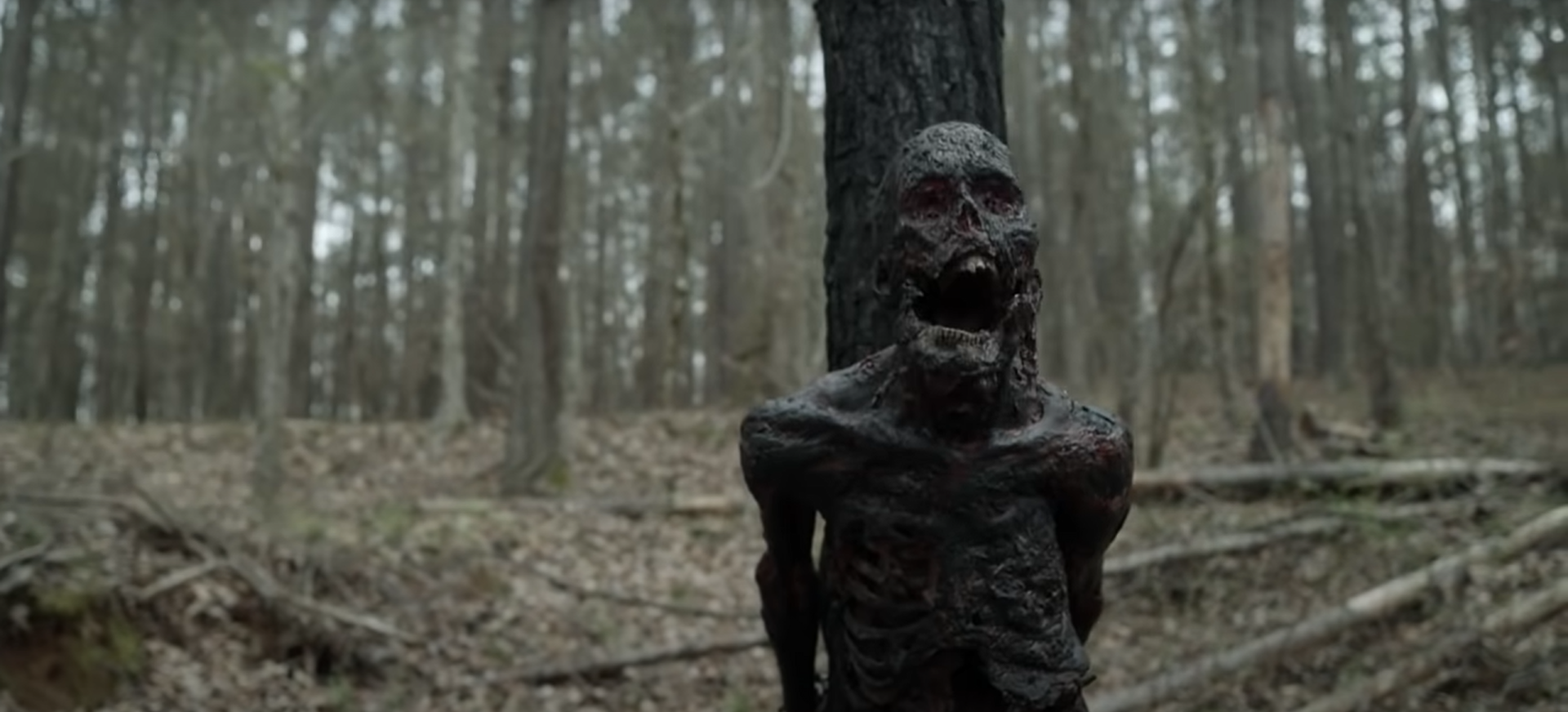 The Walking Dead’s final season will soon arrive on Netflix