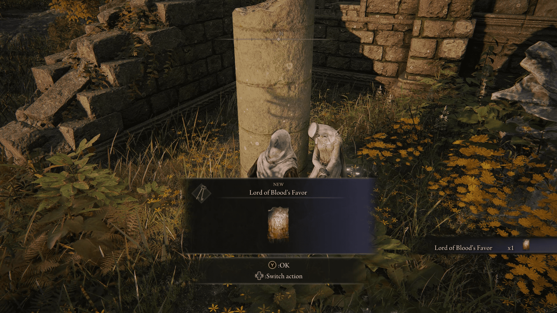 This Elden Ring Rune Farm Makes 50,000 Runes Per Minute