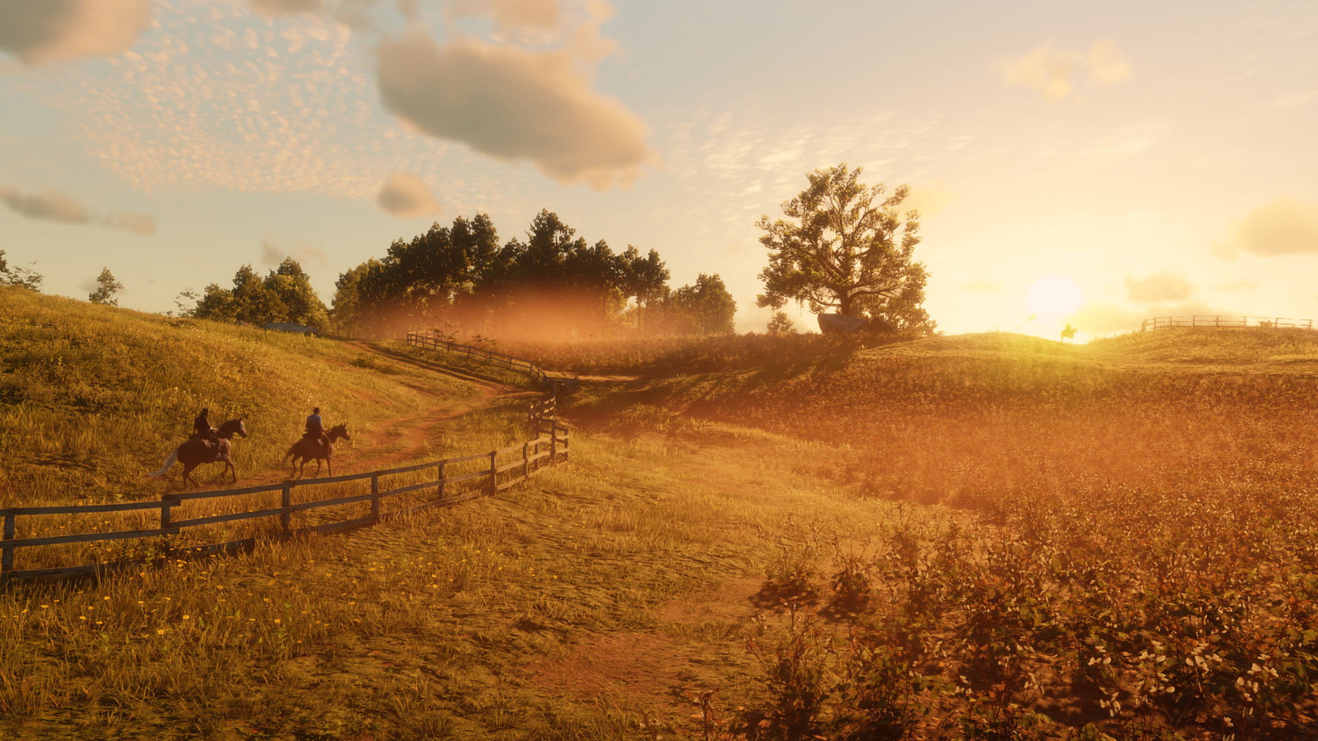 grand-theft-auto-6-look-much-better-red-dead-redemption-2-3-800x450.jpg