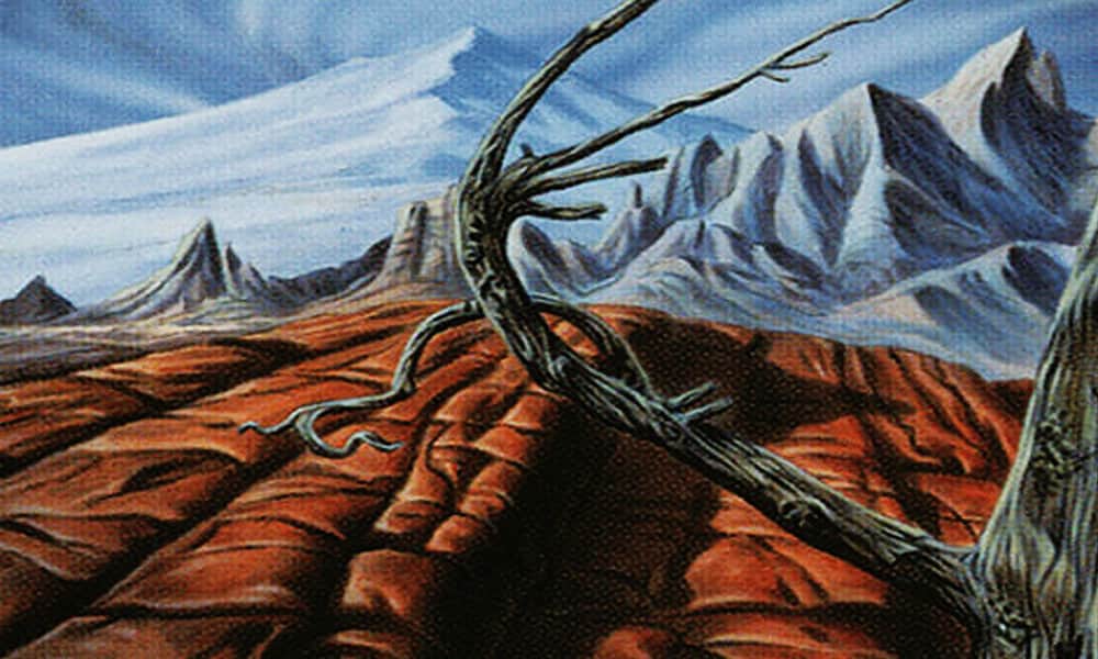 Magic-the-gathering-200-thousand-dollars-dumped-landfill-WASTELAND