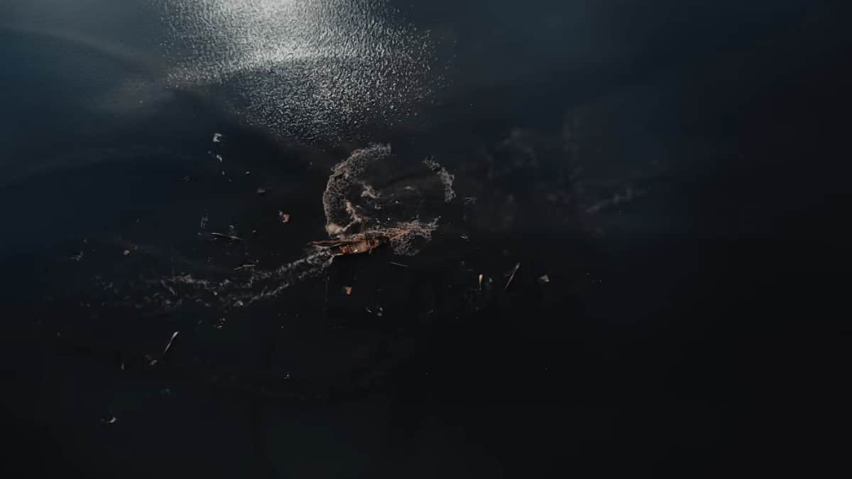 Skull And Bones Has Just Reached Alpha After Nearly A Decade