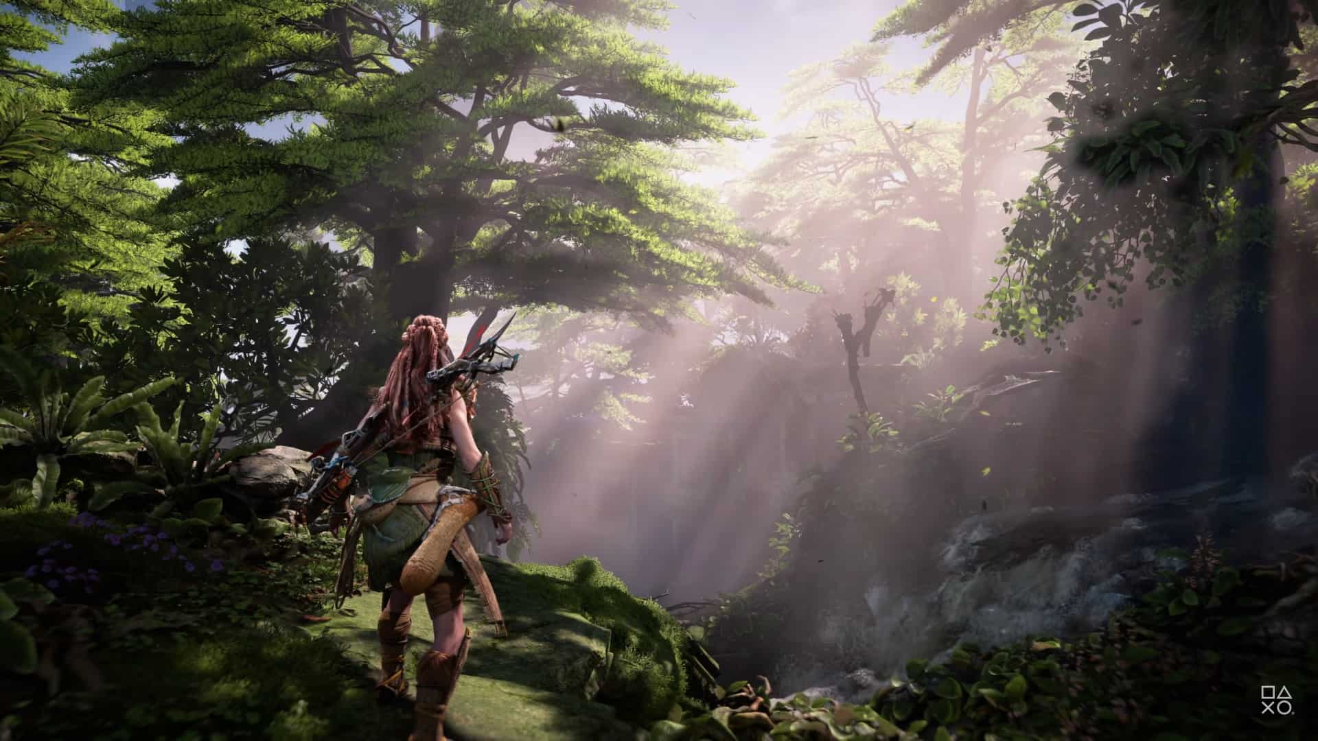 Horizon Forbidden West Has Officially Been Delayed To 2022