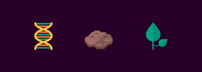 How To Make Grass In Little Alchemy 2