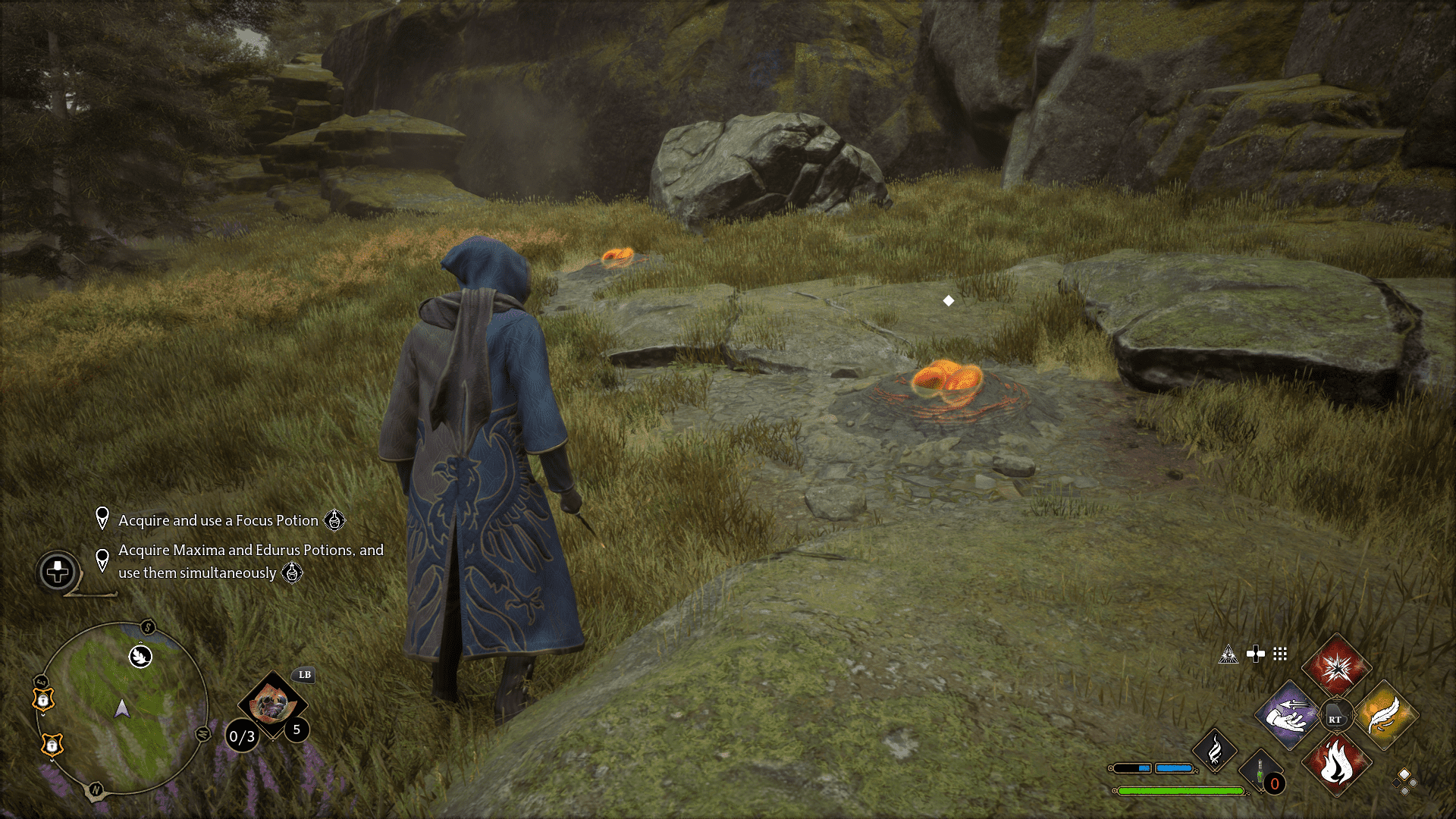 Focus Potion Guide Hl