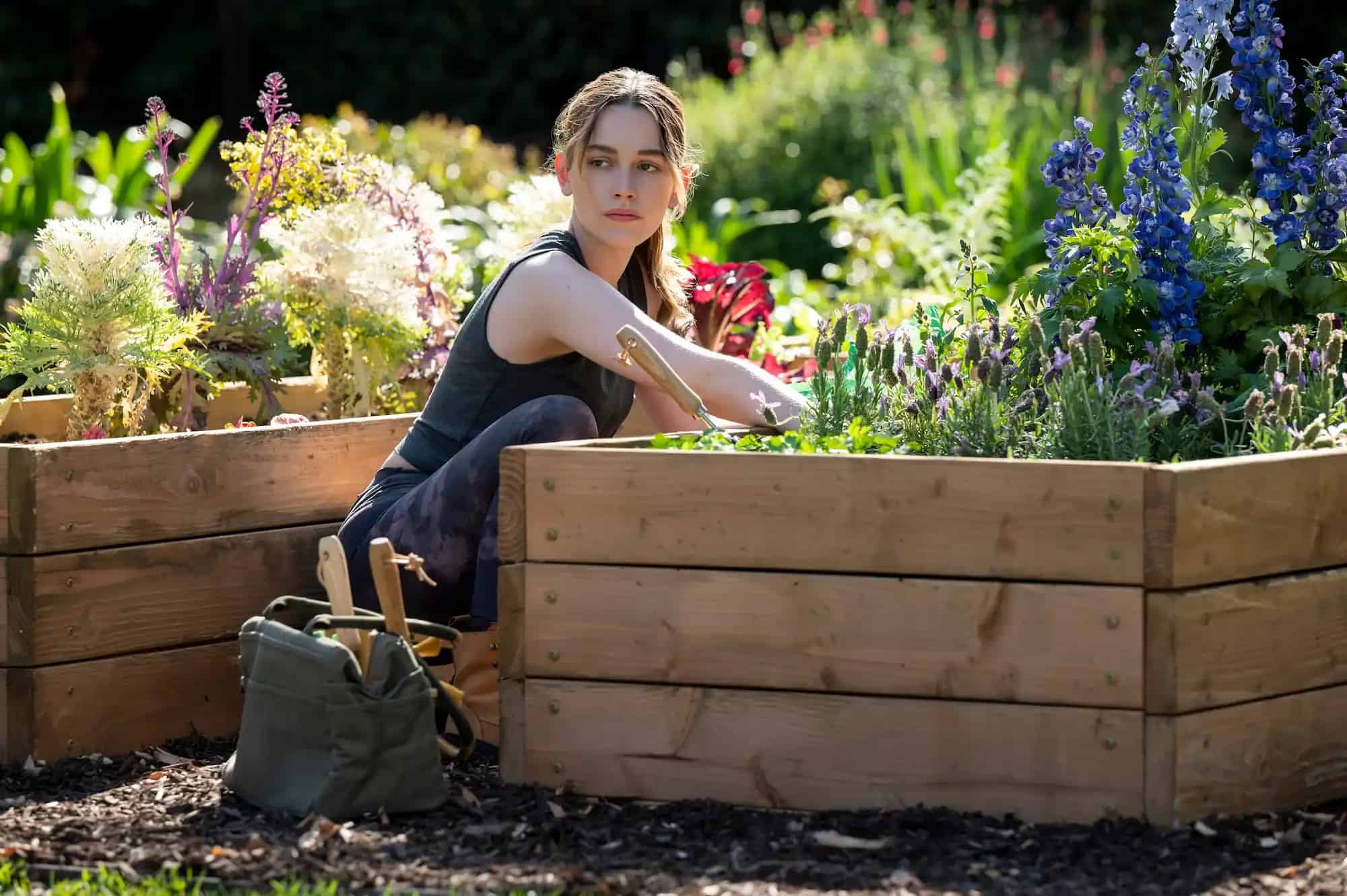 Netflix's You Is Coming Back For Its Fourth Season In February And March