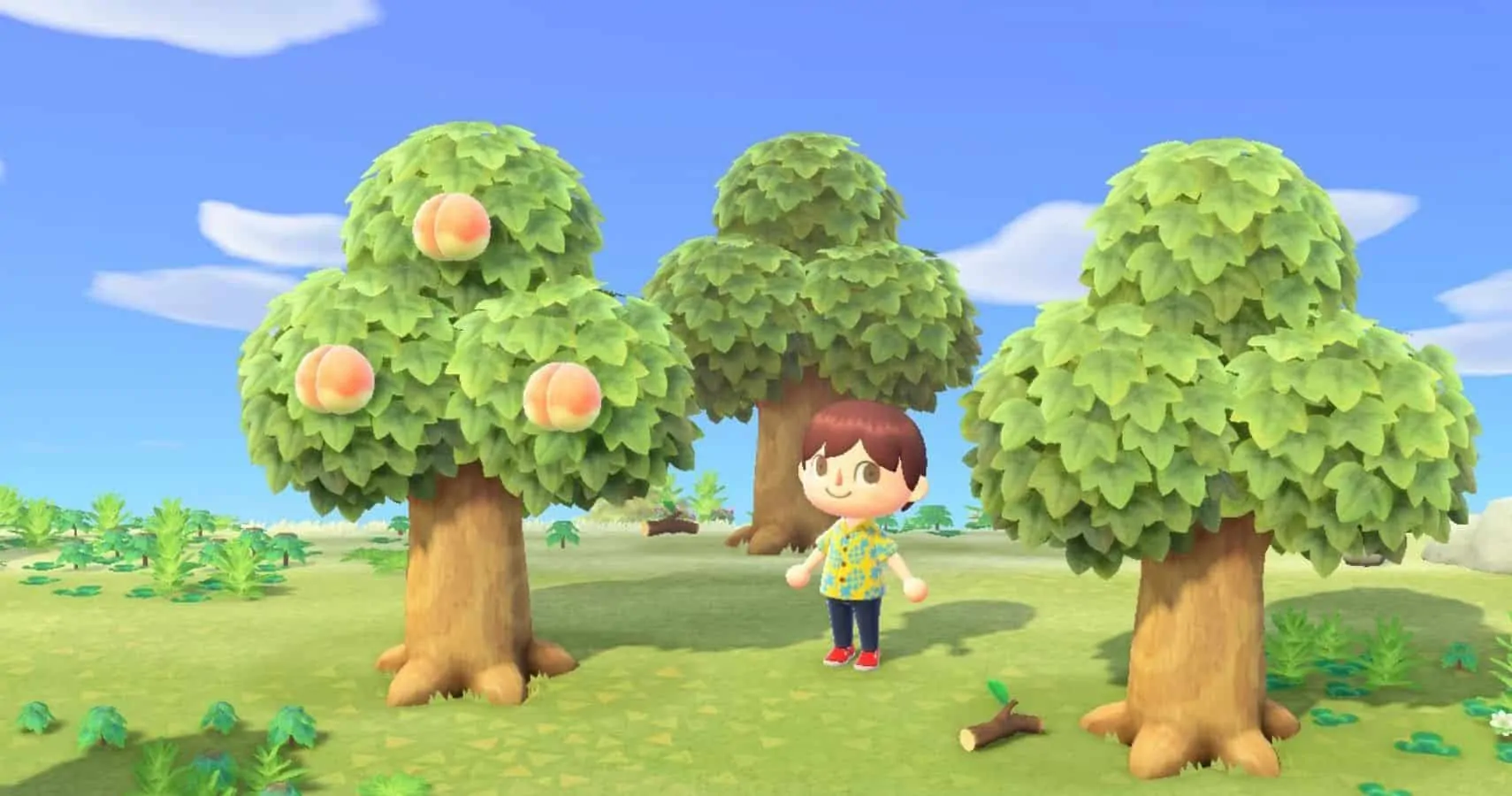How to Get Wood in Animal Crossing New Horizons?