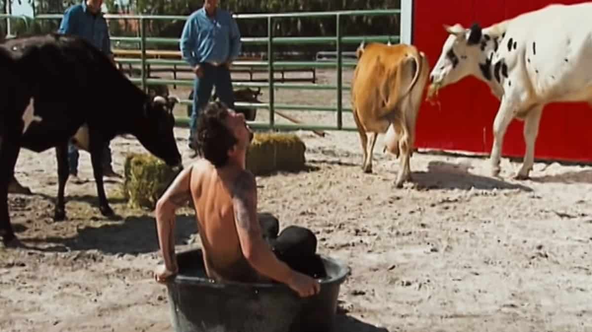 Bam Margera Files Wrongful Termination Lawsuit For Jackass 4 Firing