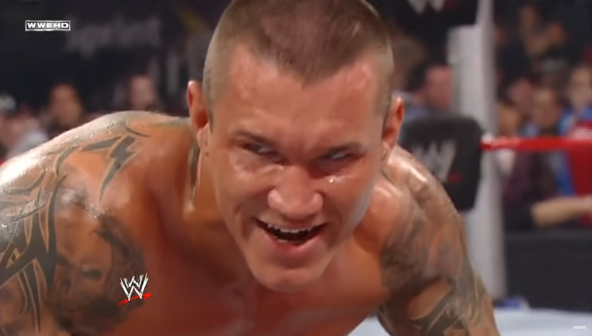 Randy Orton Injury Retire Wwe