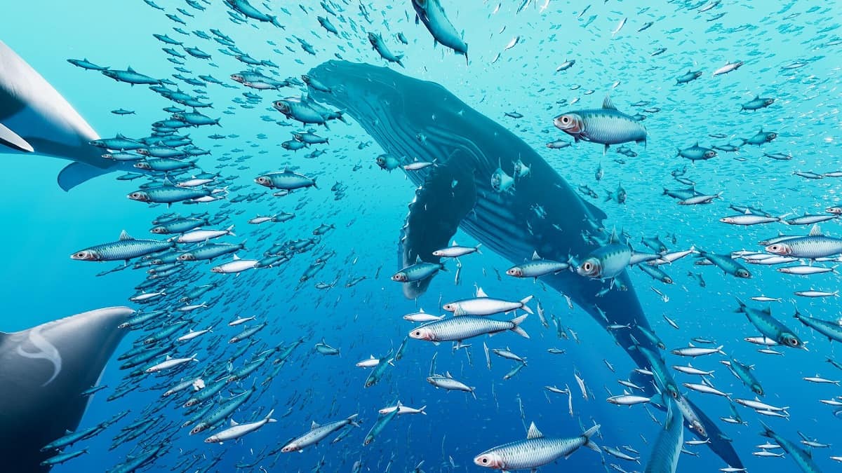 The 6 best games about climate change