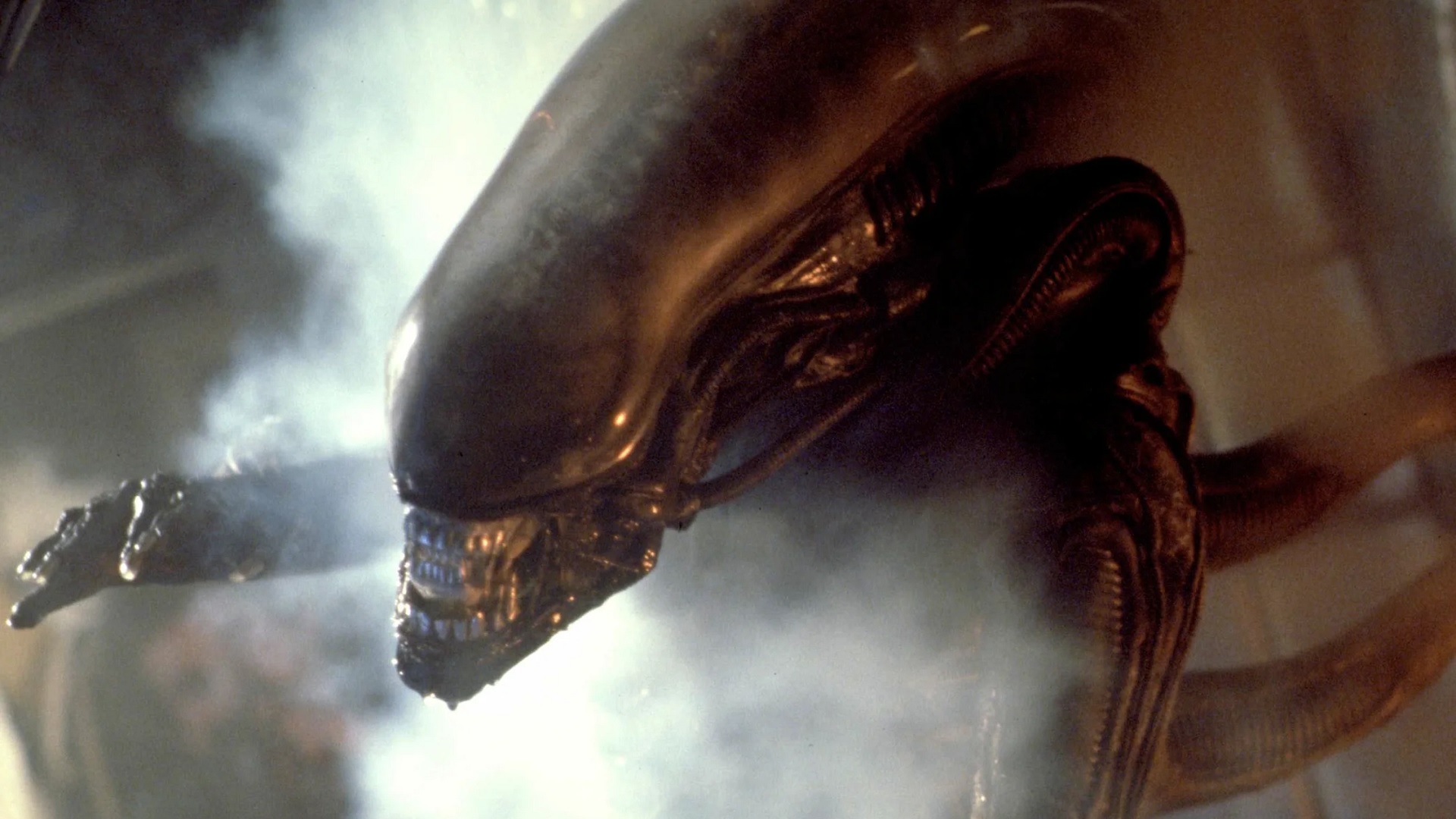 Fede Álvarez finishes filming new Alien movie ahead of its release in 2024